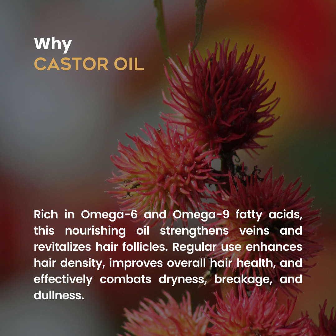 Castor Nabhi Oil: Revitalizing High Porosity Hair from the Core