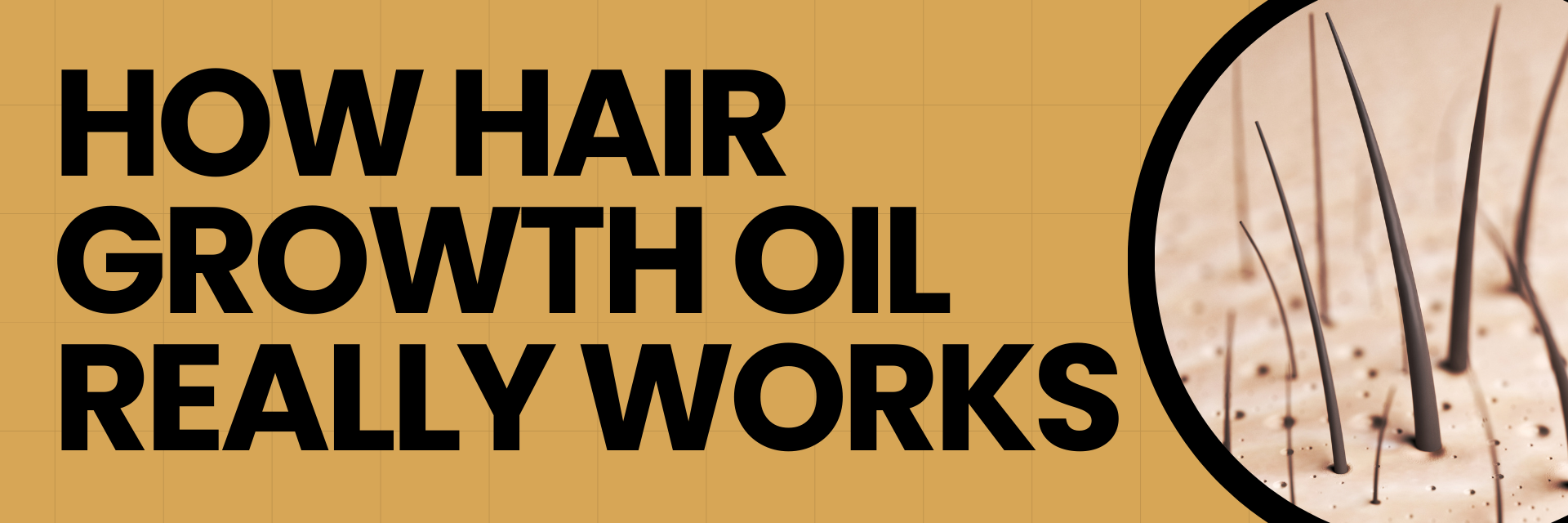 How Hair Growth Oil Really Works: Benefits, Ingredients & the Science Behind It