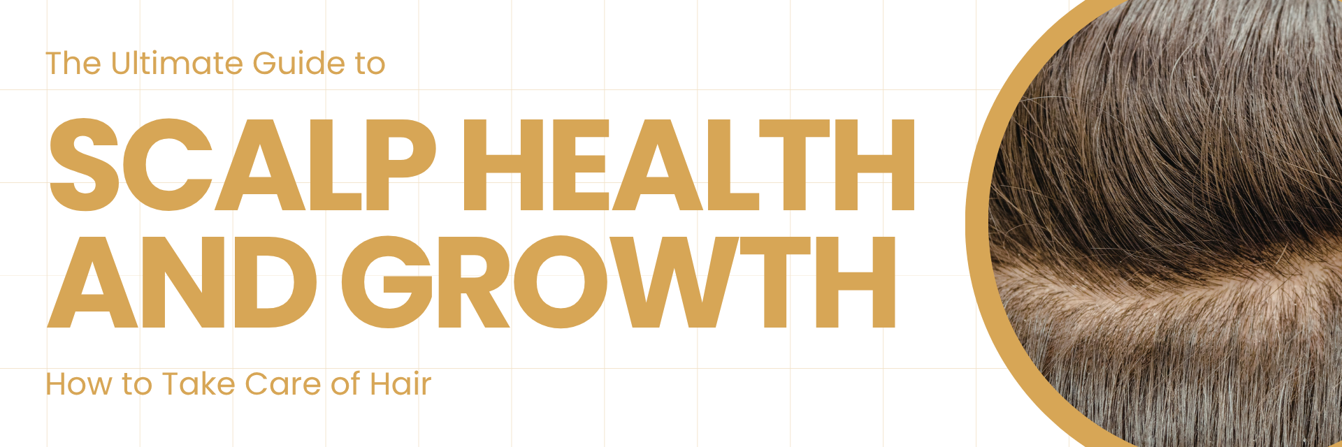 How to Take Care of Hair: The Ultimate Guide to Scalp Health and Growth