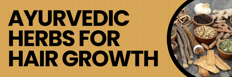 Which are the Top 7 Ayurvedic Herbs for Hair Growth?