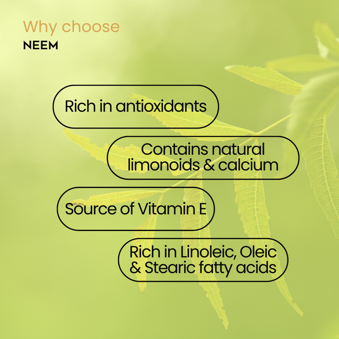 Neem Oil for Hair: The Ancient Secret to a Healthy, Balanced Scalp